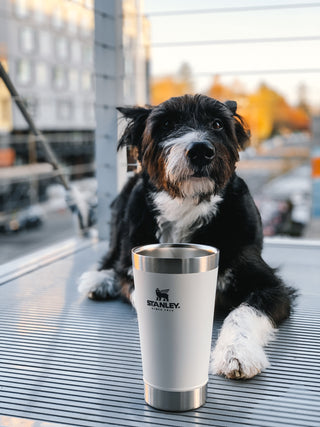 Stay Chill Stacking Pint 16oz