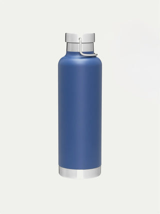 Insulated Stainless Steel Bottle w/ Handle