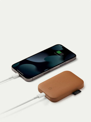 Softpower Magbank