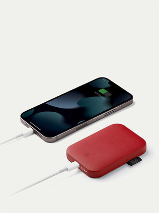 Softpower Magbank
