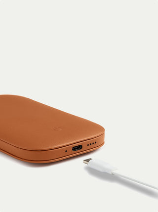 Softpower Wireless Bank