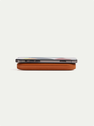 Softpower Wireless Bank