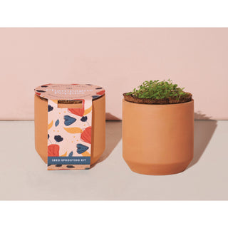 Tiny Terracotta Grow Kit Thank You Daisies