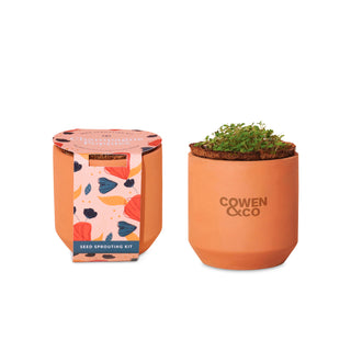 Tiny Terracotta Grow Kit Thank You Daisies