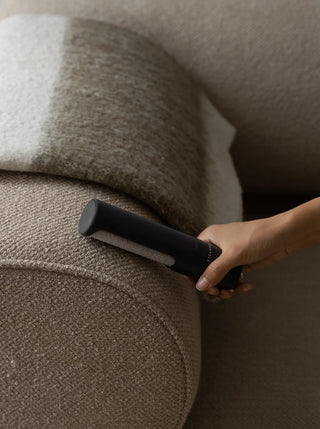 Lint Brush